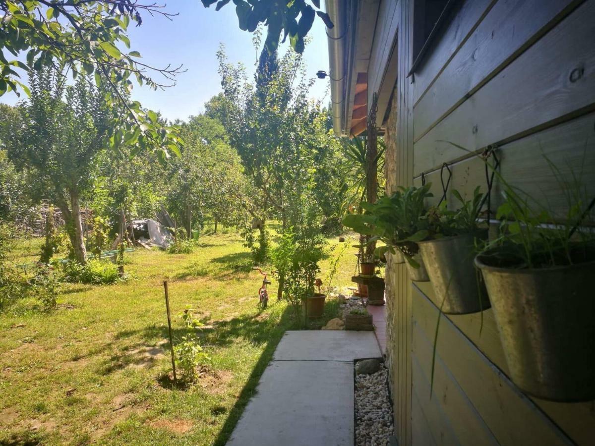 Patak Apartman, Diszel ตาปอลซา ภายนอก รูปภาพ