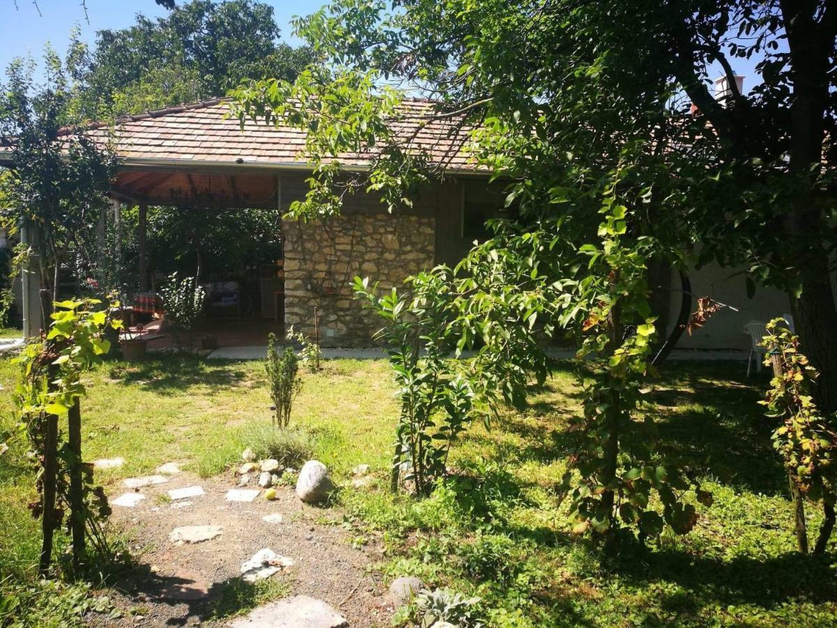 Patak Apartman, Diszel ตาปอลซา ภายนอก รูปภาพ