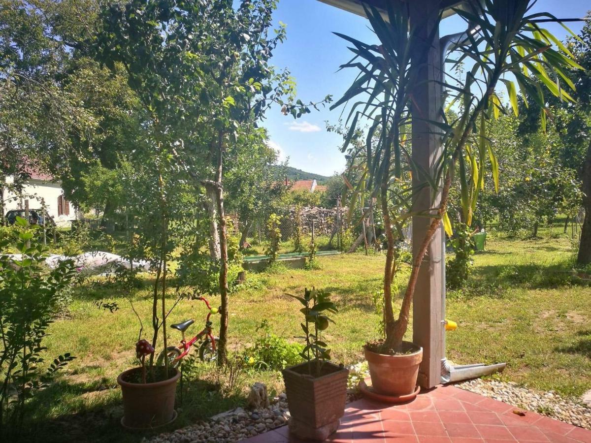 Patak Apartman, Diszel ตาปอลซา ภายนอก รูปภาพ